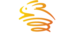Pogo Hopper